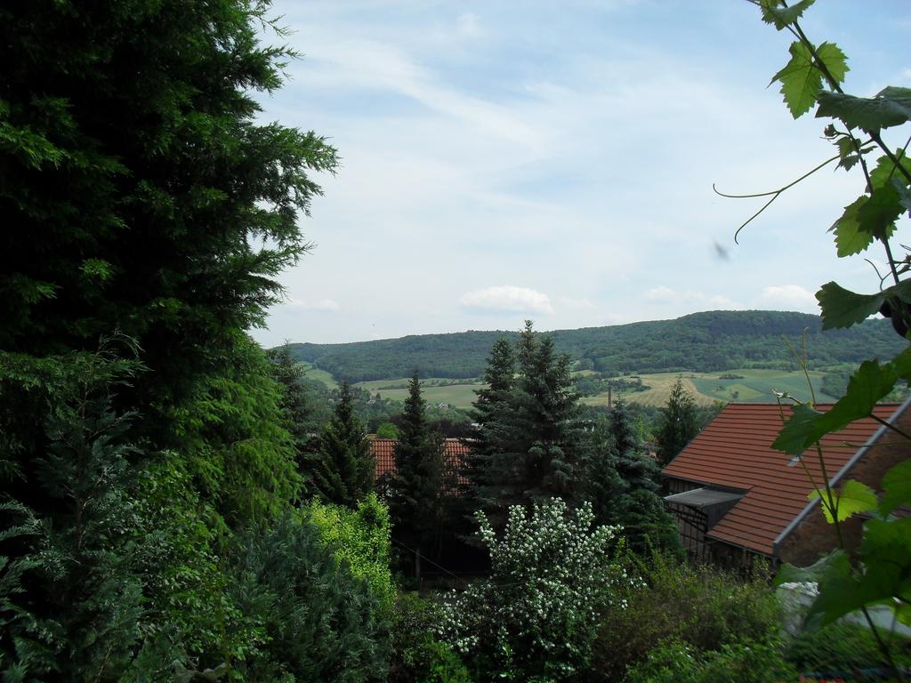 Ferienwohnung Bergblick Jena Oda fotoğraf
